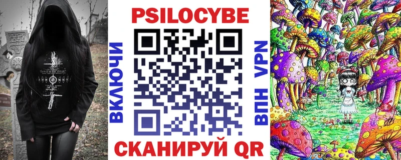 Купить  Вышний Волочёк  Псилоцибиновые грибы MAGIC MUSHROOMS 