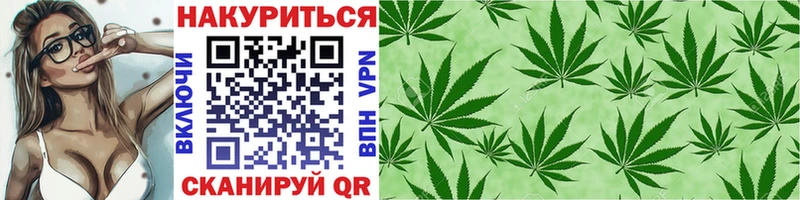 Купить где Вышний Волочёк Канабис THC 21%